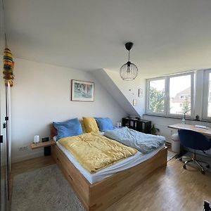 Kamer met een King Size Bed